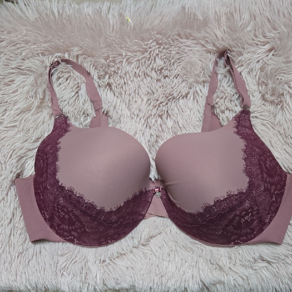 La Vie En Rose Sleekback Elegant Lace Bra in Mauve and Plum Plus Size 40 D